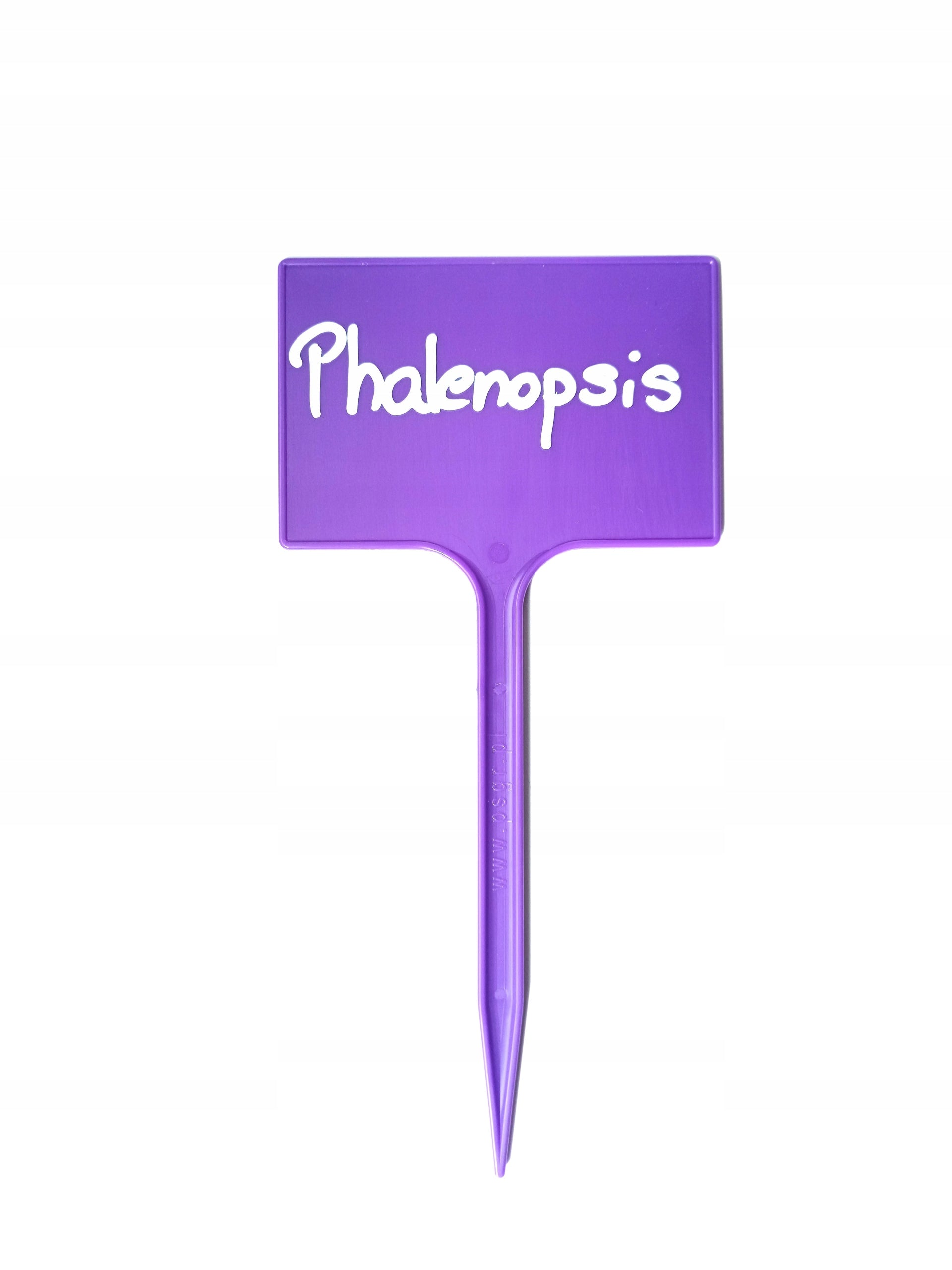 50x PLANT DESCRIPTION PLATE LABEL 7X10,5 PURPLE INFORMATION + MARKER Brand no brand