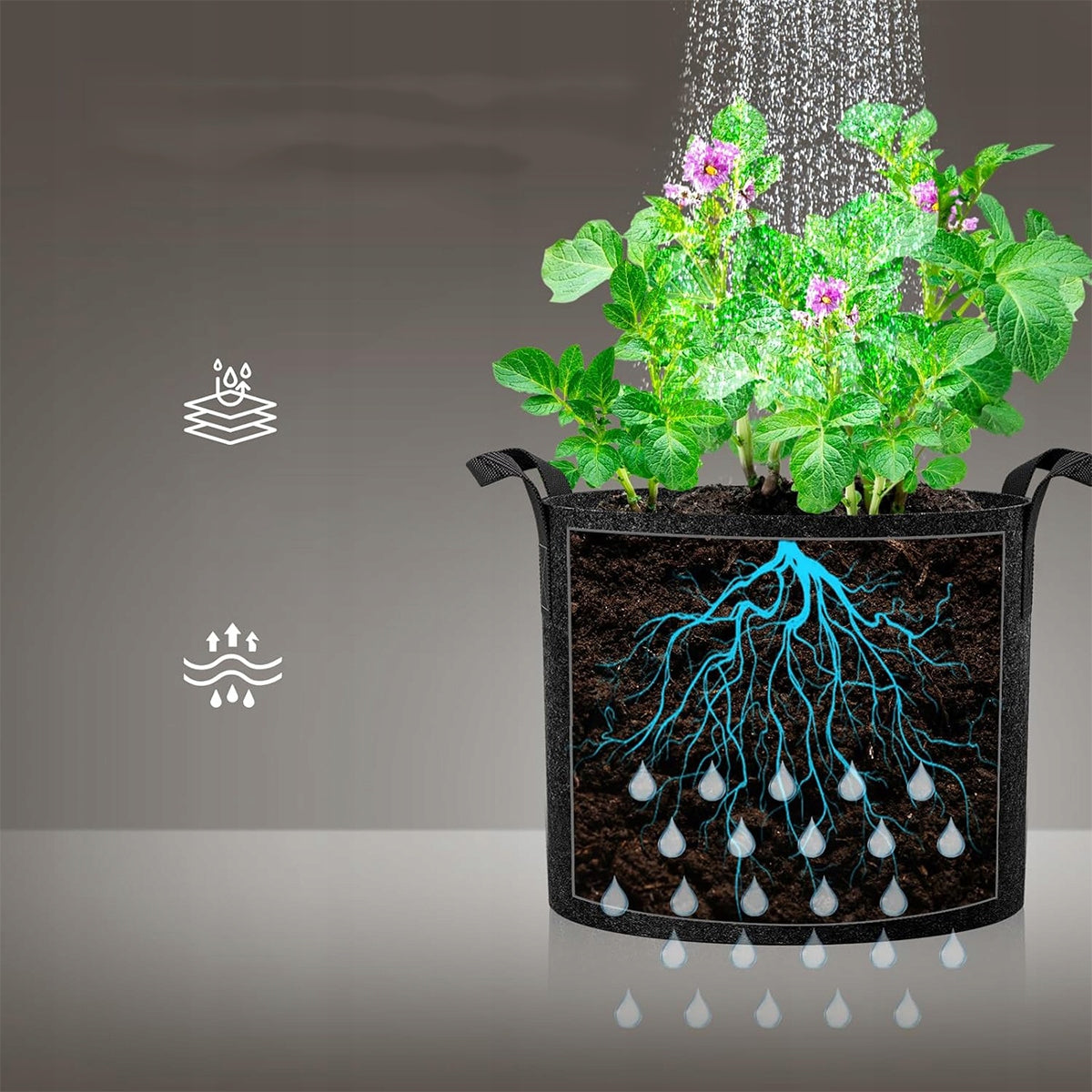 5X BAG PLANTING BAG 20L VEGETABLE TOMATOES PLANTER SEEDLINGS Product height 30 cm