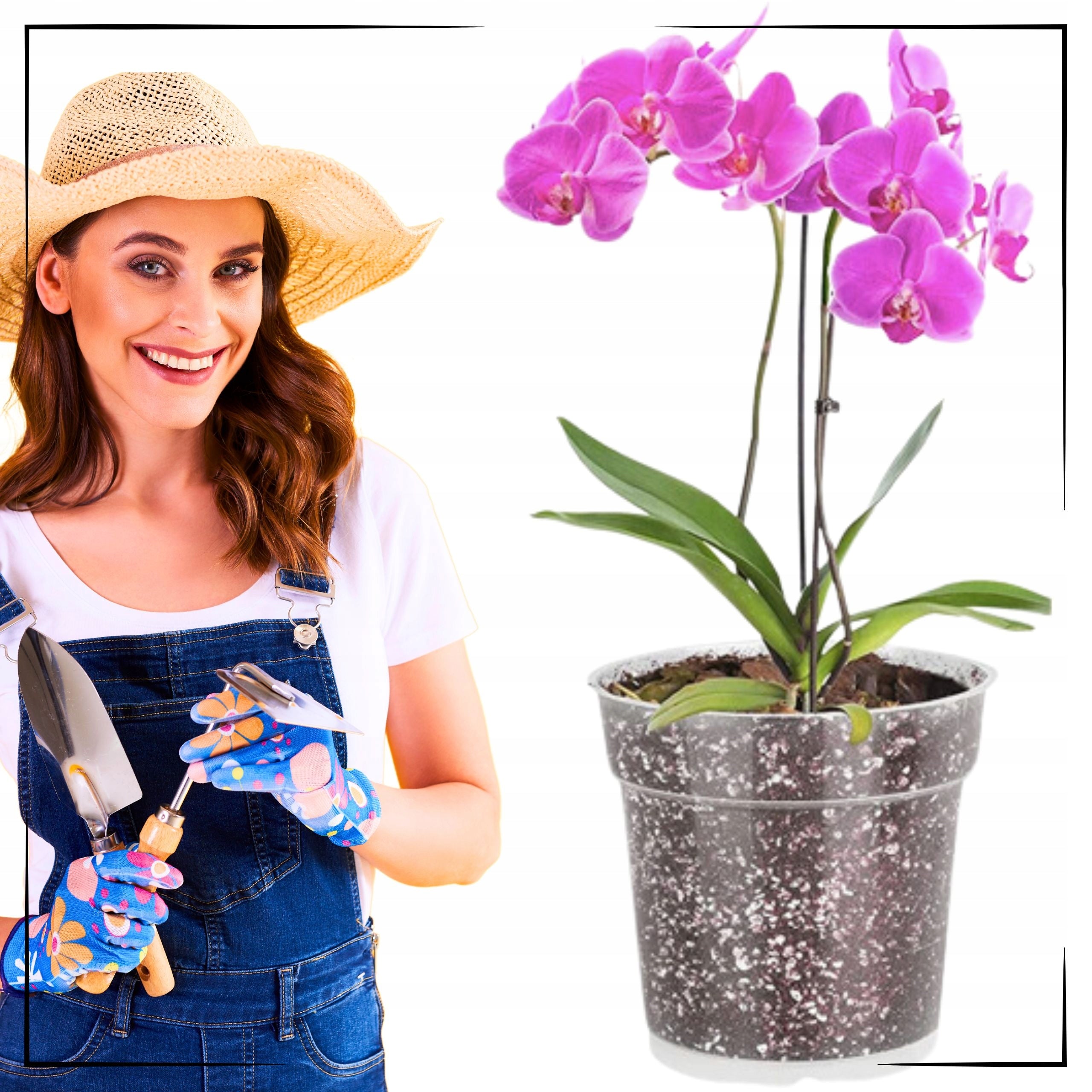 5x Transparent Manufacturing Flower Pot 11,5 cm For Flower Plant Orchids Product height 10.8 cm