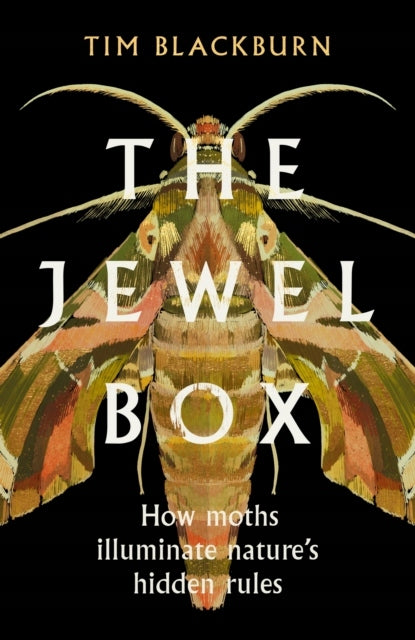 Jewel Box: Wie Motten die verborgenen Regeln der Natur erhellen
