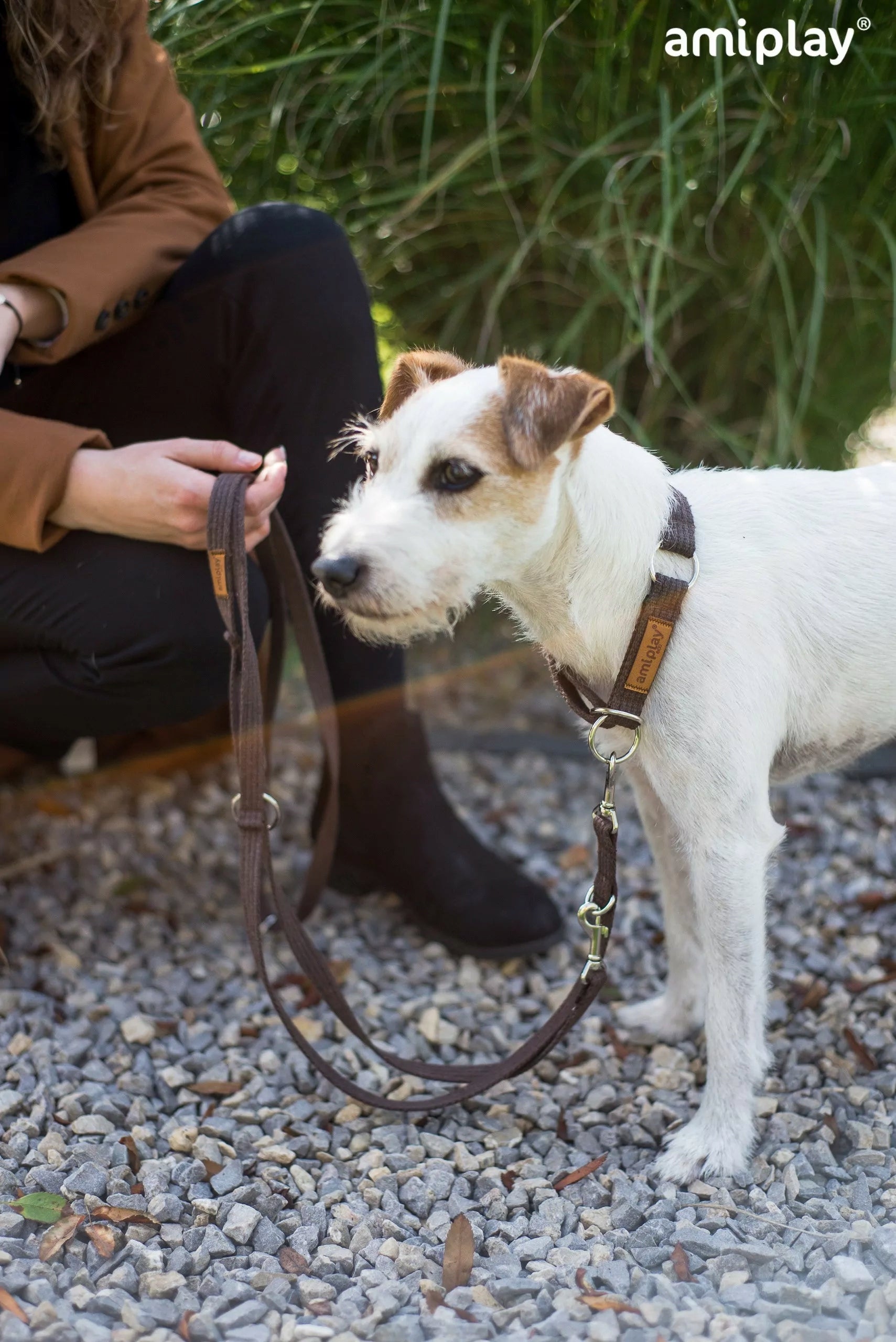6IN1 AMIPLAY COTTON XL BLACK LEASH FOR DOG Kind detachable