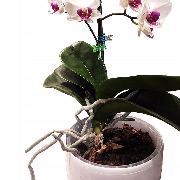 6pcs DECORATIVE CLIP DRAGONFLY CLIP FASTENING SUPPORTS AND STEMS OF ORCHID PLANTS Product height 3.5 cm