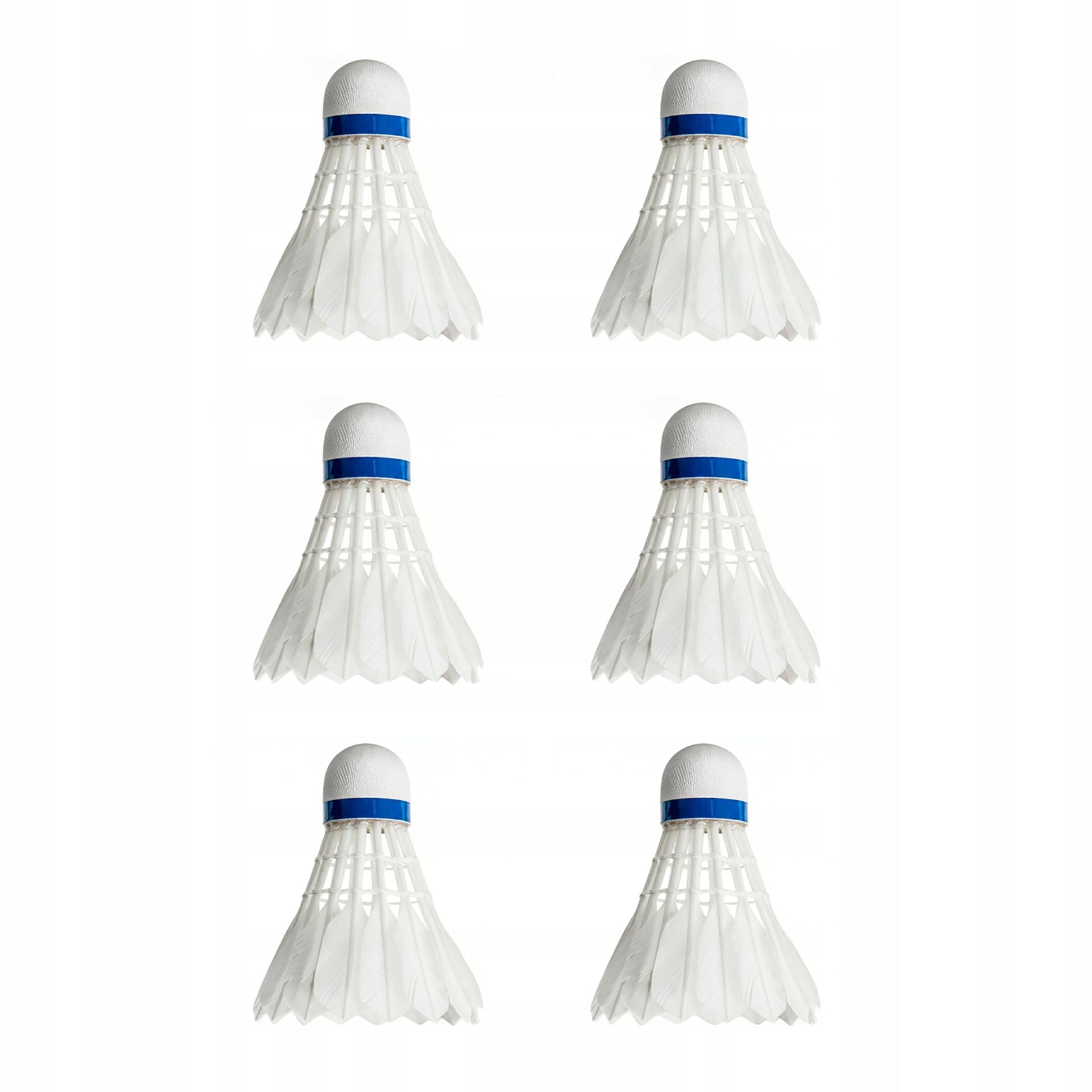 6x FEATHER DARTS FOR BADMINTON FEATHER TUBE 6 PCS SET WHITE DART Brand Springos