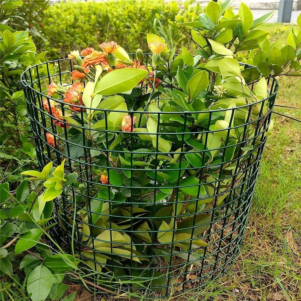 6x Plant Protection Against Animals, Plant Protective Cage for Flowers Height 37.5 m