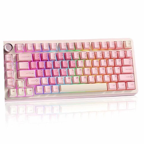 75% WIRELESS MECHANICAL KEYBOARD HOT SWAP FOR GAMING GAMES