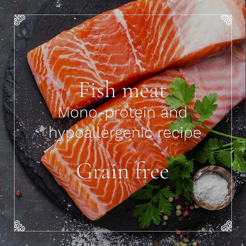 77 Philip IV Dry Food Trout and Salmon with Vegetables and Fruits - 2kg Brand 77 PET FOOD