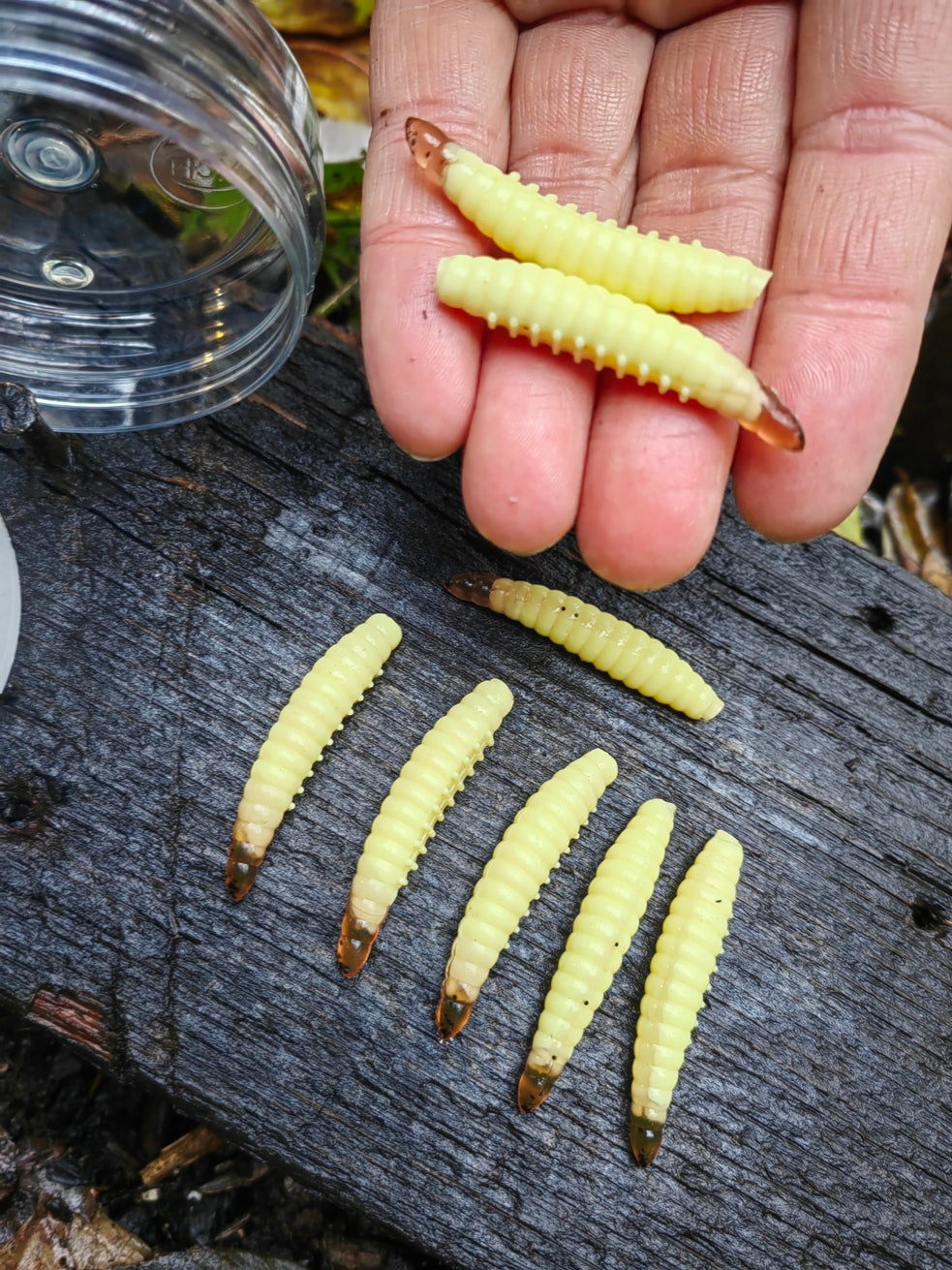 8 pcs Magic Baits Salo Larva 45 mm - 1,7 gr. killer for Trout Area Trouts Brand Magic Baits