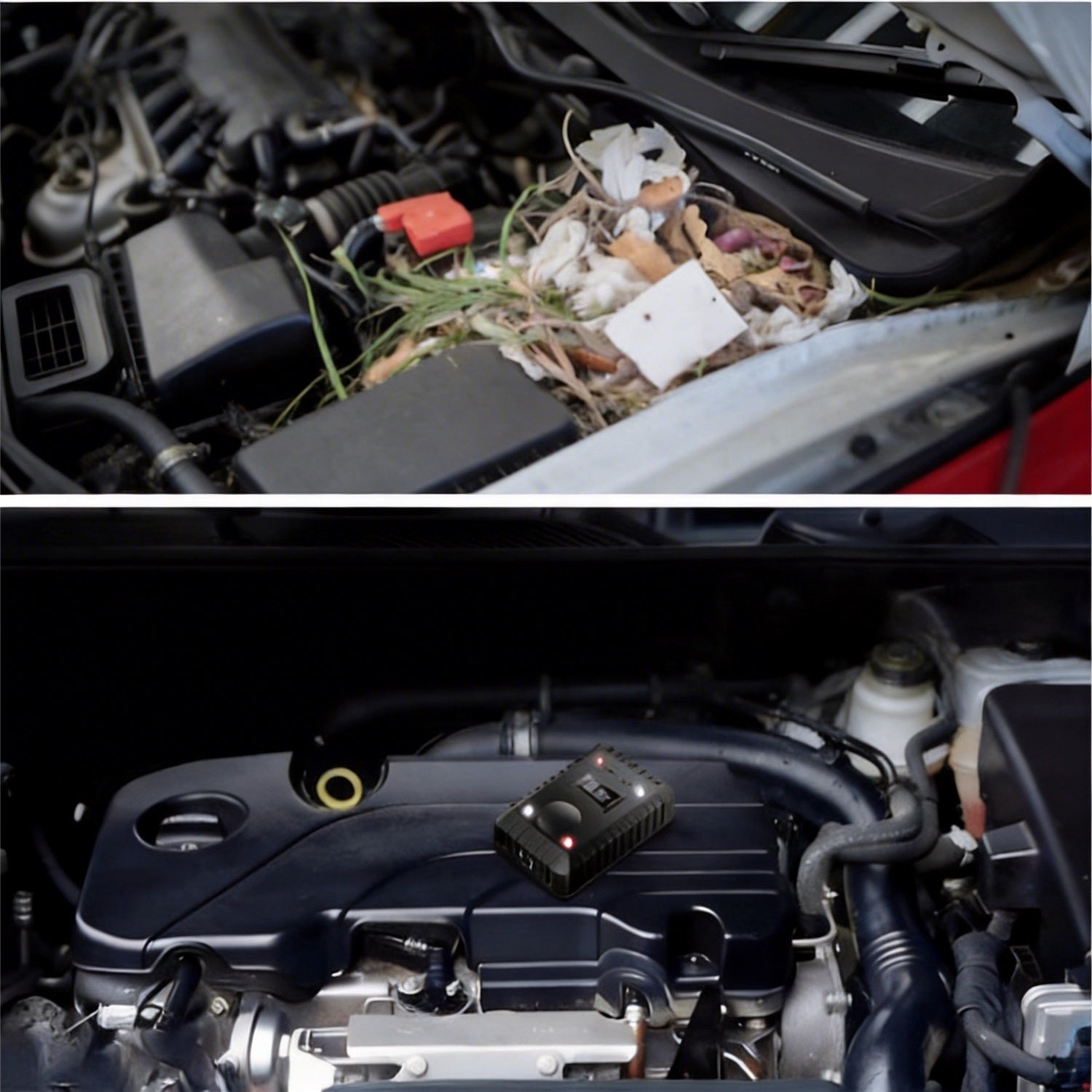 Ultragarsinis automobilių šeškų atbaidymo prietaisas ANTIKUNA