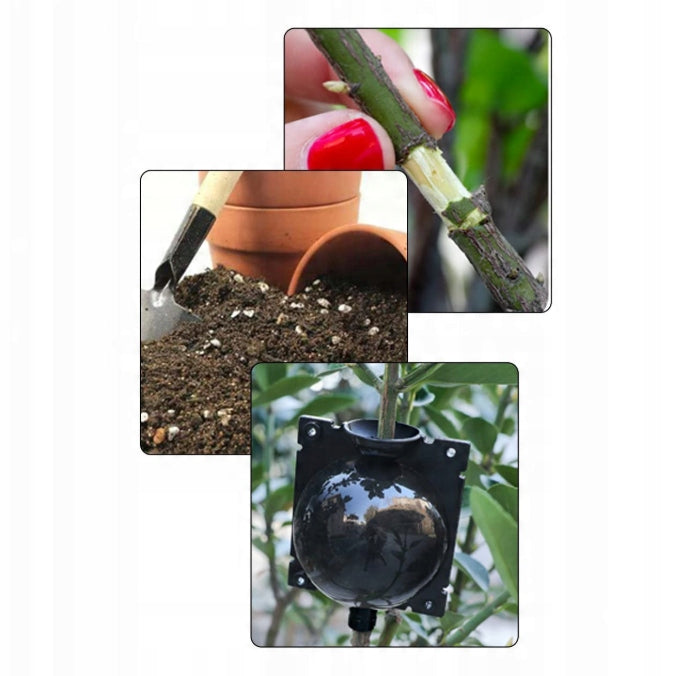 8CM ROOTING BALLS SEEDLINGS PROPAGATION SEEDLINGS BALL DEPOSITS 10PCS EAN (GTIN) 6977118662786