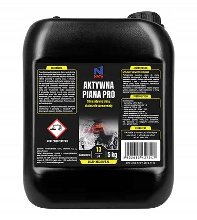 ACTIVE FOAM PRO touchless washing, lance, manual