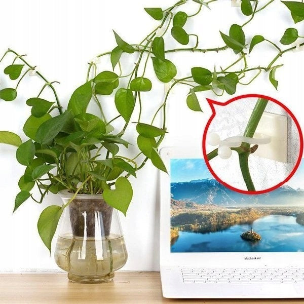 ADHESIVE HOOK HOLDER FOR PLANT CREEPERS 20MM 10PCS Brand ABC-RC