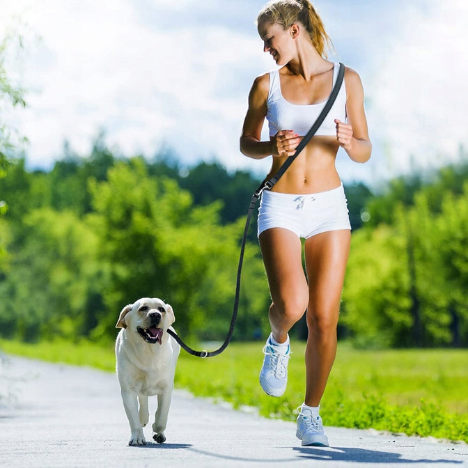 ADJUSTABLE DOG TRAINING LEASH CLIP-ON ADJUSTABLE STRONG 25mm 5m Kind detachable