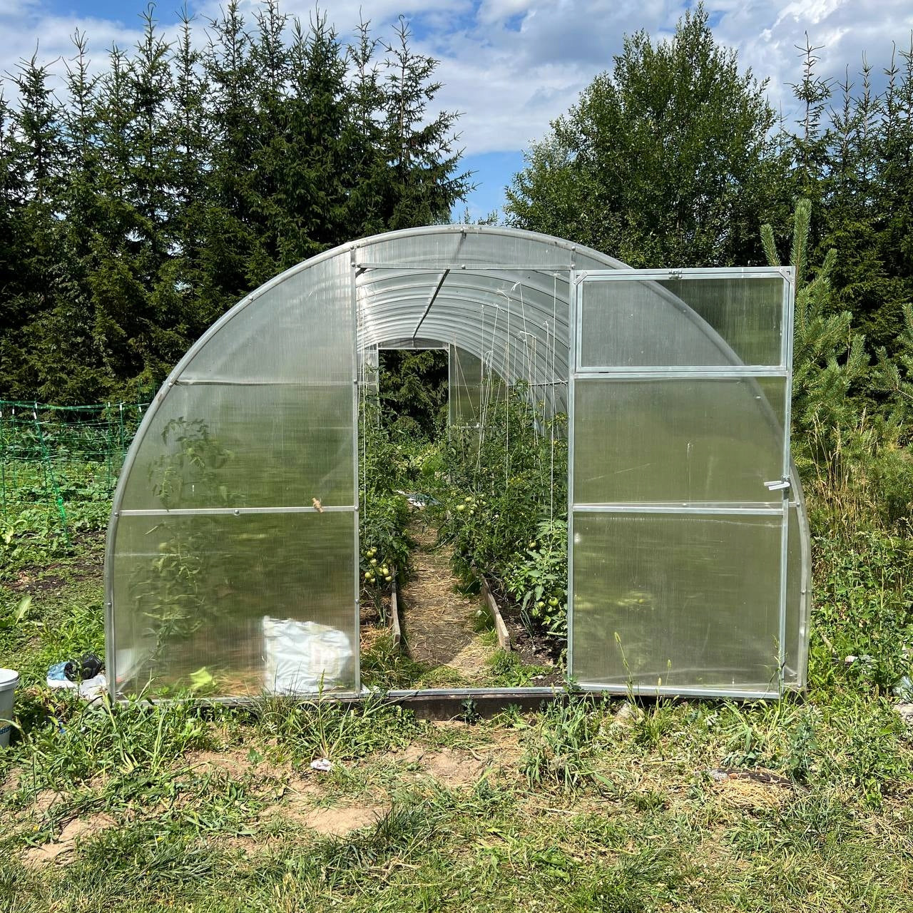 AGRONOM STRONG GREENHOUSE POLYCARBONATE 3x6m 4mm 20x20 Manufacturer code DOBRA 3x6m 4mm 20x20
