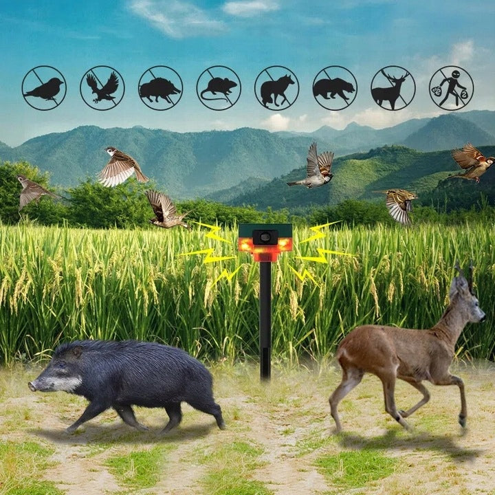ALARM WITH OUTDOOR MOTION SENSOR, SOUND AND LIGHT SIREN, 129 DB Use Against cats martens dogs birds other