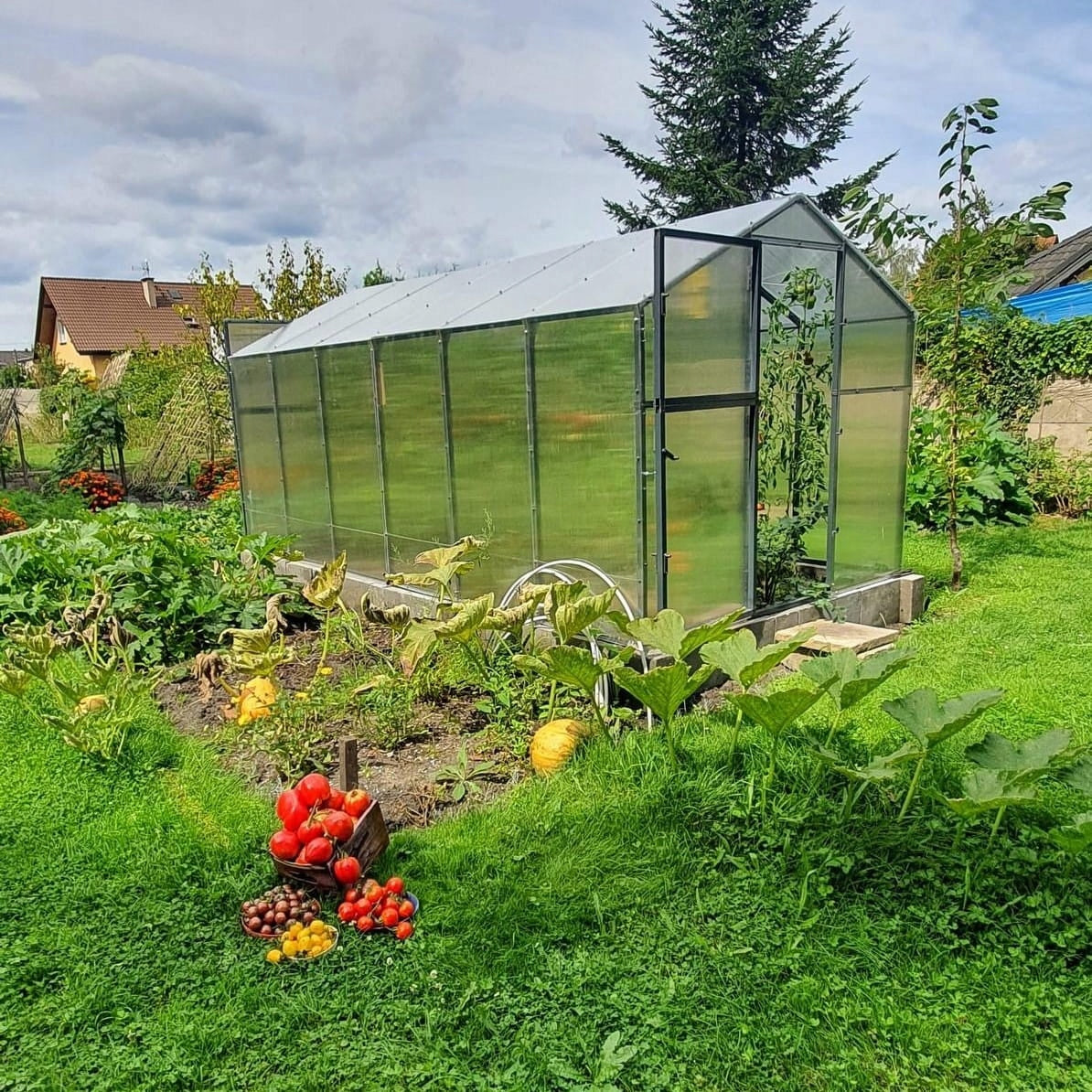 ALUMINUM GARDEN GREENHOUSE 12,6m2 POLYCARBONATE TUNNEL 210X606 PTF Length 6.06 m