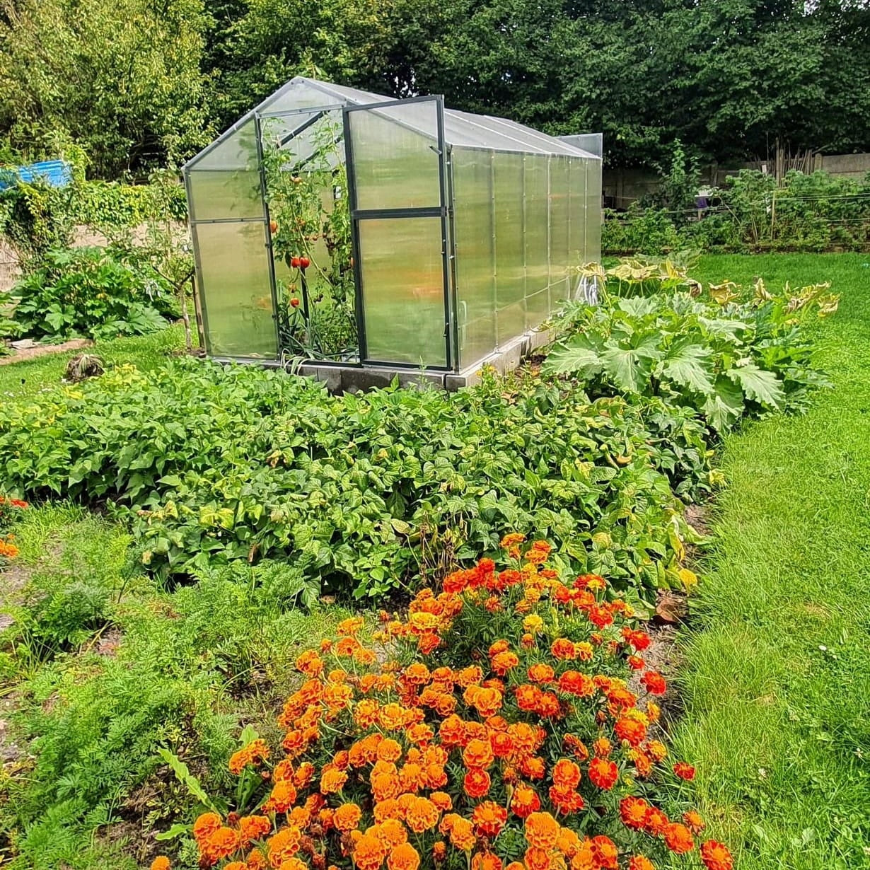 ALUMINUM GARDEN GREENHOUSE 12,6m2 POLYCARBONATE TUNNEL 210X606 PTF Width 2.1 m