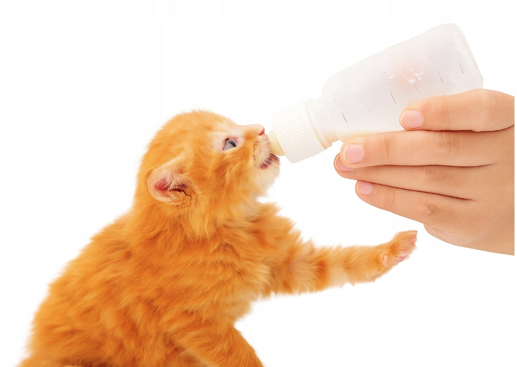 ANIMAL FEEDING BOTTLE FOR KITTEN PUPPIES WITH PACIFIER Capacity 0.06 l
