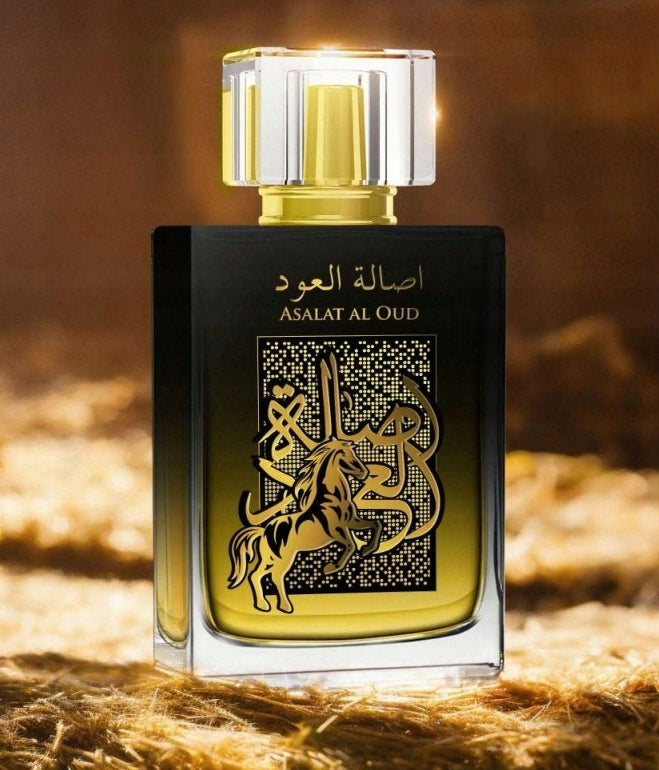 ARABIC PERFUME ASALAT AL OUD Men's Eau de Parfum 100 ml EDP Spray AFAQ Packaging status original