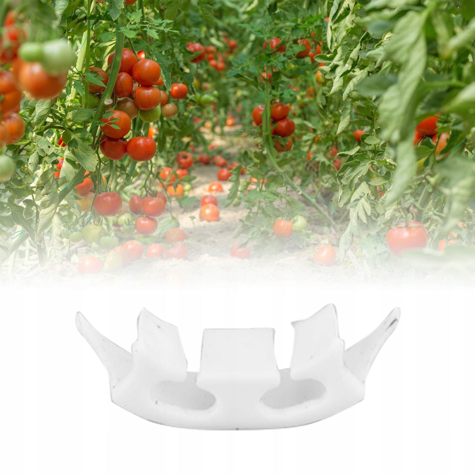 ARCHES FOR SUPPORTING TOMATO GRAPES 100 PCS Number of pieces 100 pcs