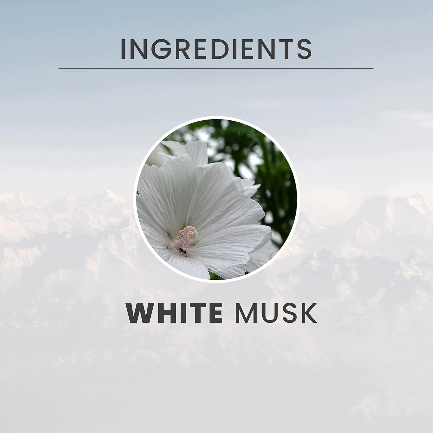 AROMATIC SCENT OF WHITE PIZZA WITH NOTES OF ROSE TONKA VANILLA 100 ML Customs tariff code 33030010