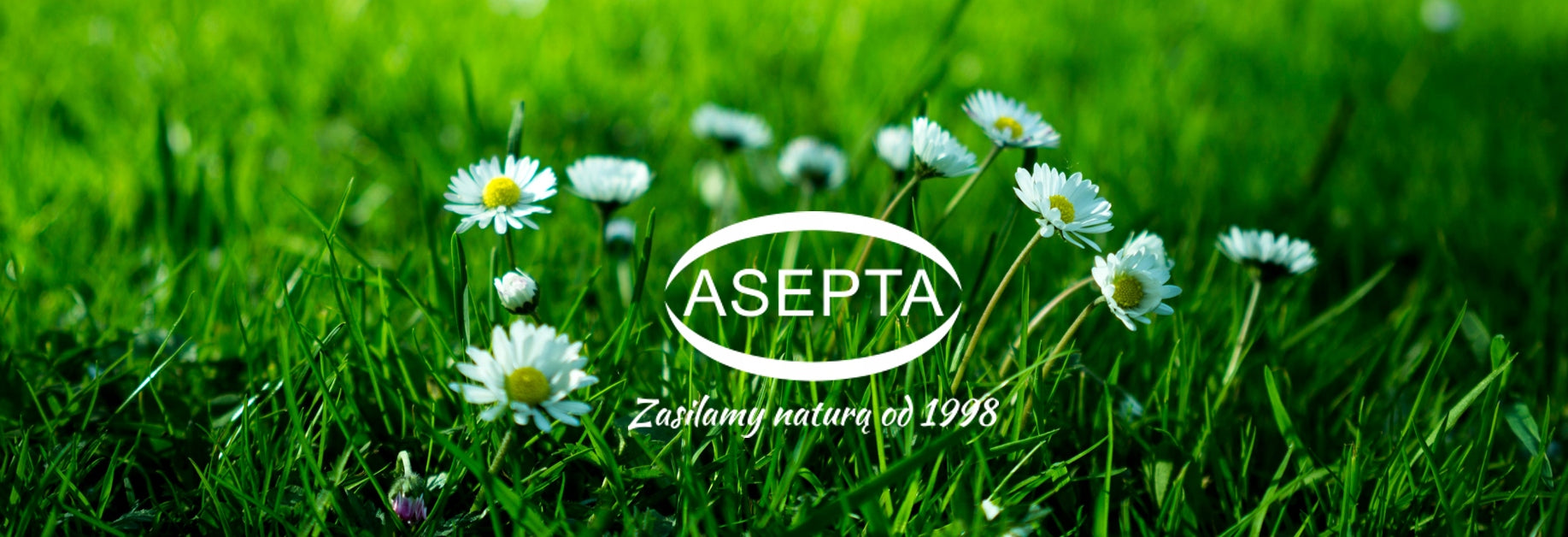 ASEPTA - Laurosept Q73 | 100 ml | laurel oil + turmeric oil Manufacturer code 5907771496405