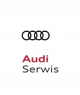 ASO VW AUDI CAR FRAGRANCE GECKO 000087009 C Manufacturer's catalog number 000087009C