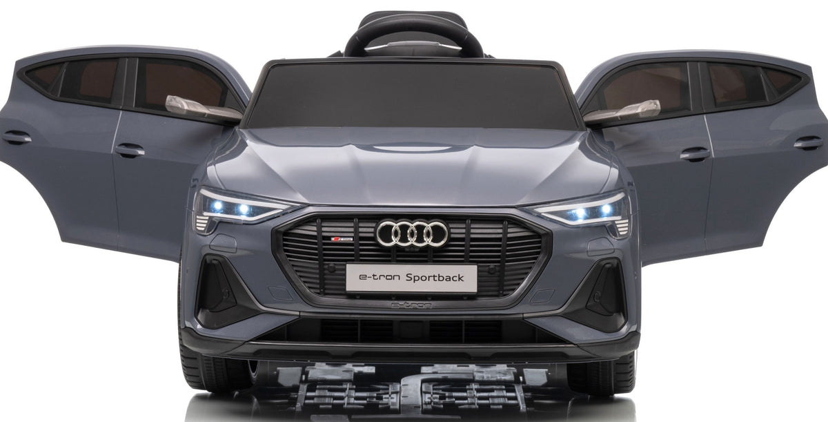 AUDI E-TRON 4X4 LEATHER Vehicle car battery