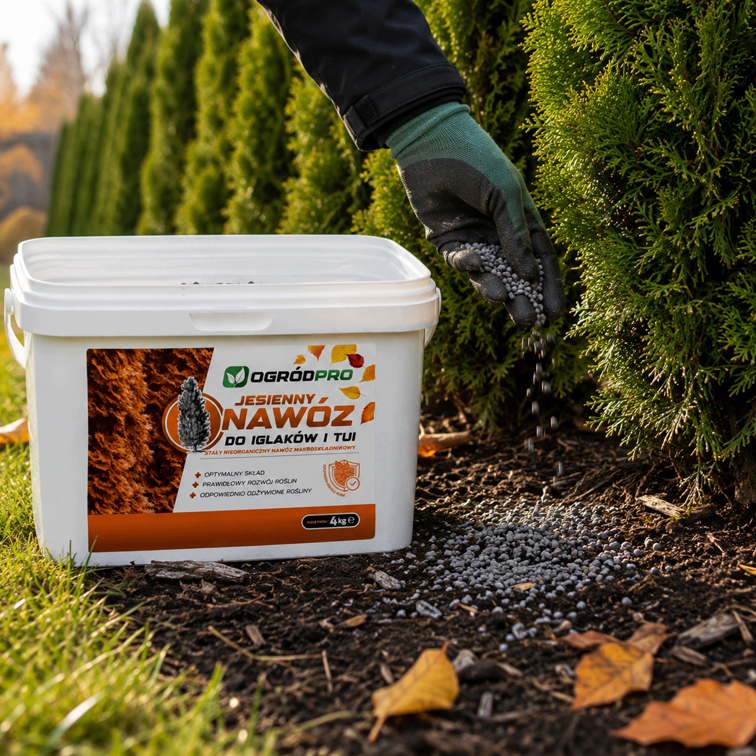 AUTUMN FERTILIZER For conifers GRANULES conifers throbs a lot of phosphorus in autumn 4 KG Manufacturer code Ogródpro nawóz jesienny do iglaków tui 4kg