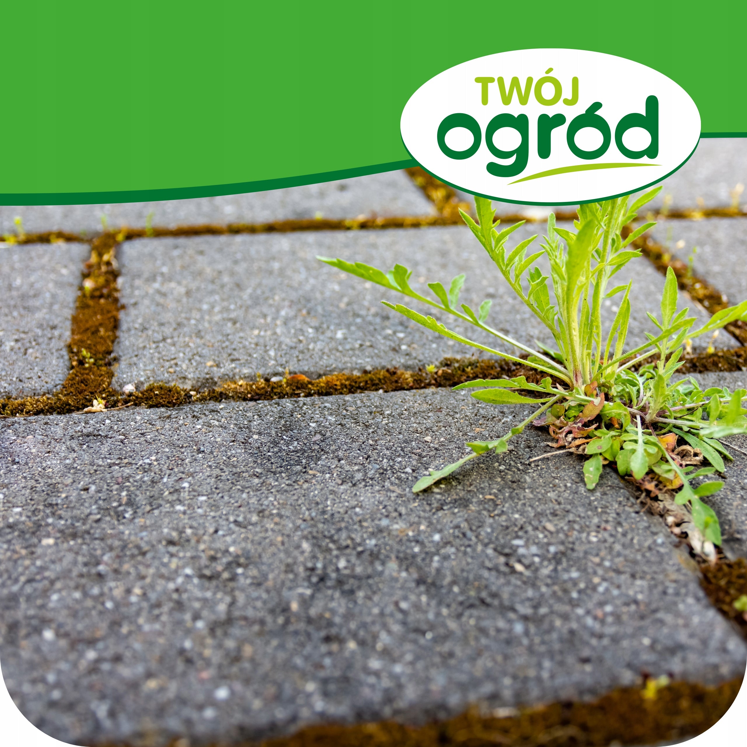 AVANS RTU WEED KILLER 1L FOR WEEDS FIGHTS AGAINST ROOTS Purpose against weeds