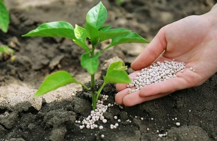 AZOFOSKA garden fertilizer universal granules vegetables fruit flowers 25kg Manufacturer code 5654457