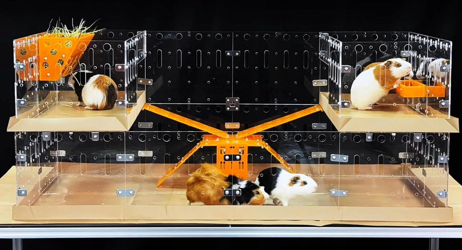 Acrylic cage 122x61cm for guinea pigs, rabbits and small animals Length 122 cm