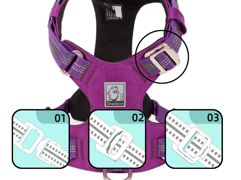 Adventure Dog Harness Truelove L Kind training / easy walk