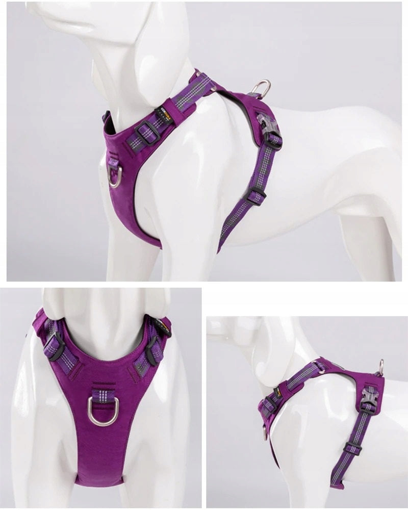Adventure Dog Harness Truelove L Trade name TLH6282 fioletowe L