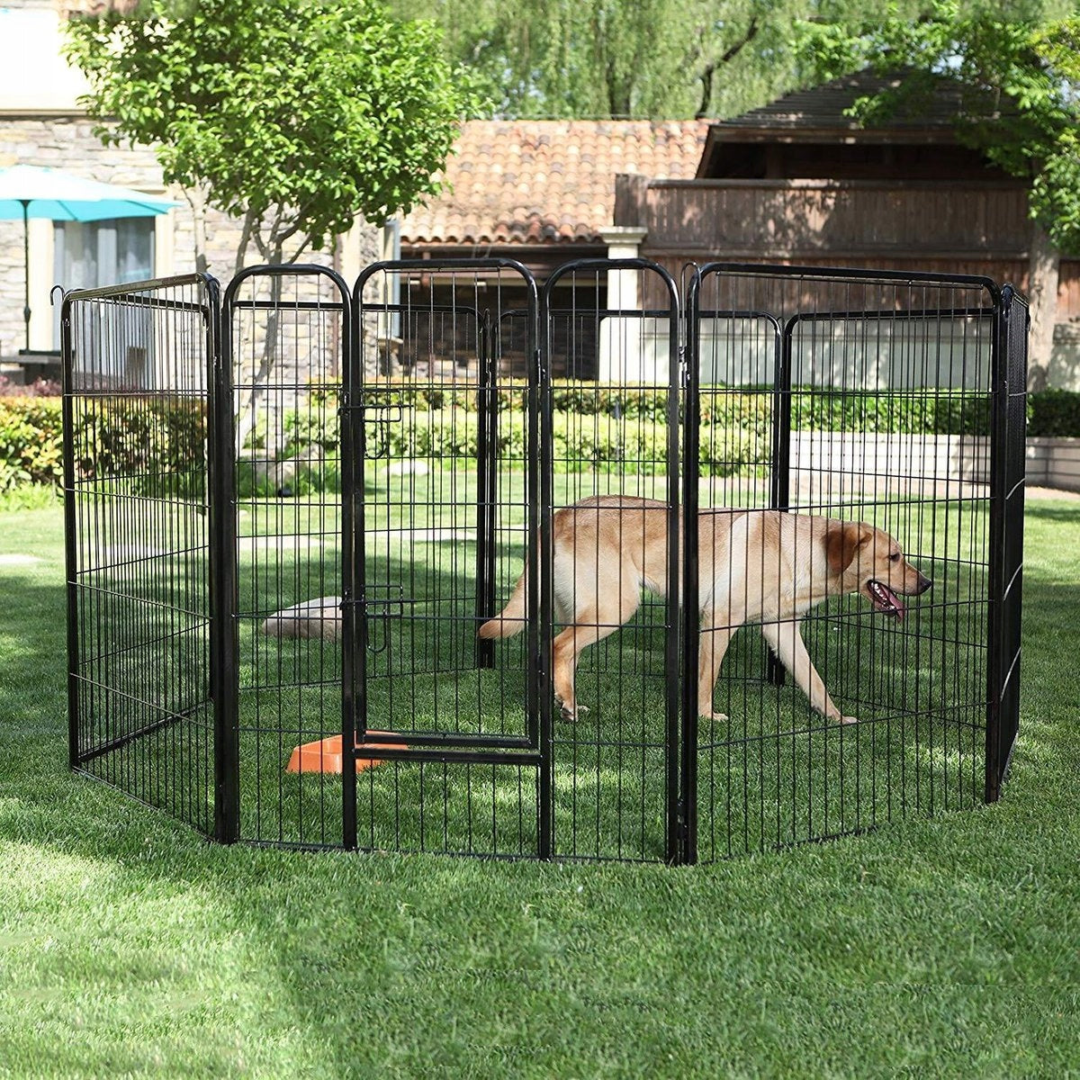 Aga Playpen Puppy Dog Farm Metal Folding Catwalk 100x120 cm Product height 120 cm