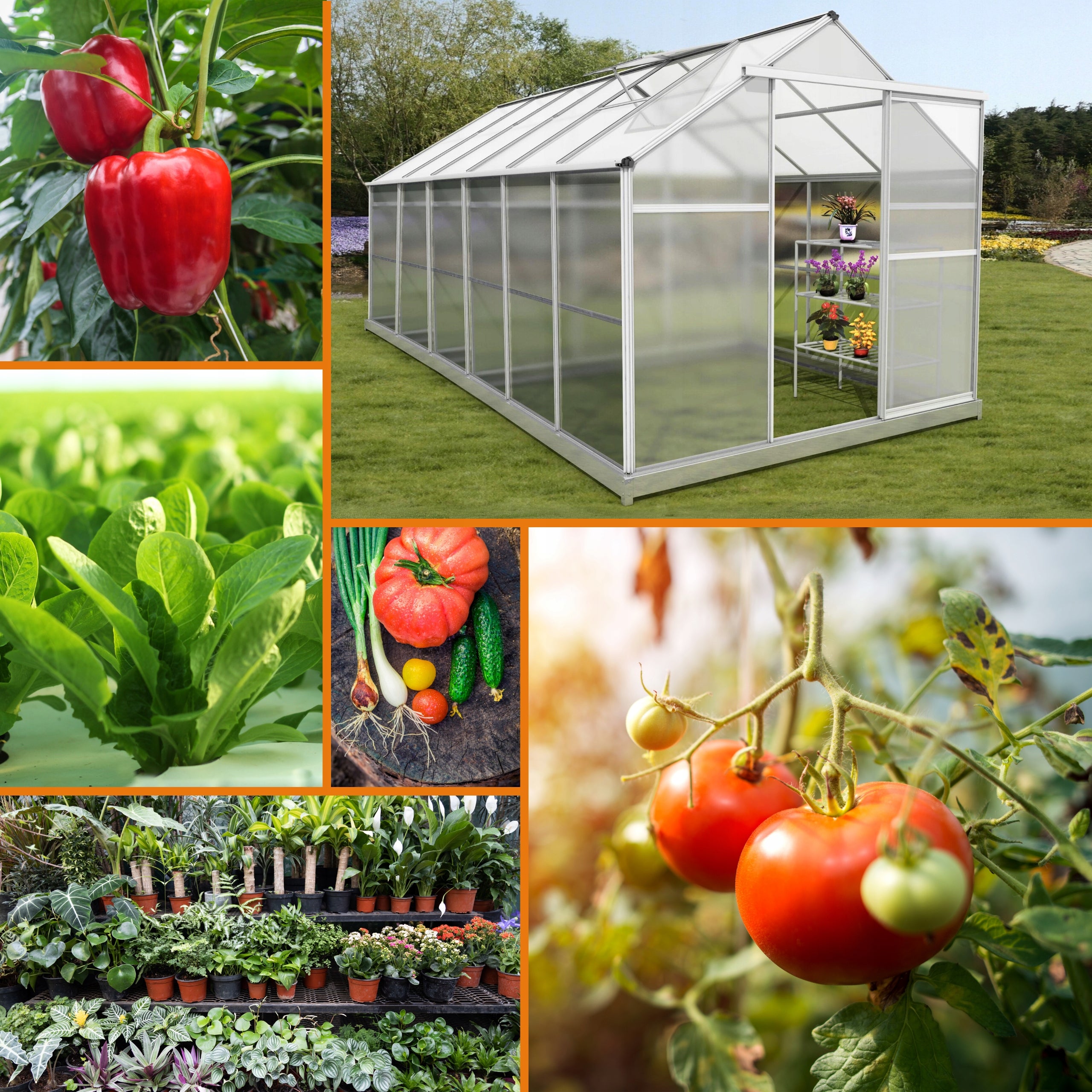 Aluminum Garden Greenhouse with Polycarbonate 190x363x191cm Width 1.9 m