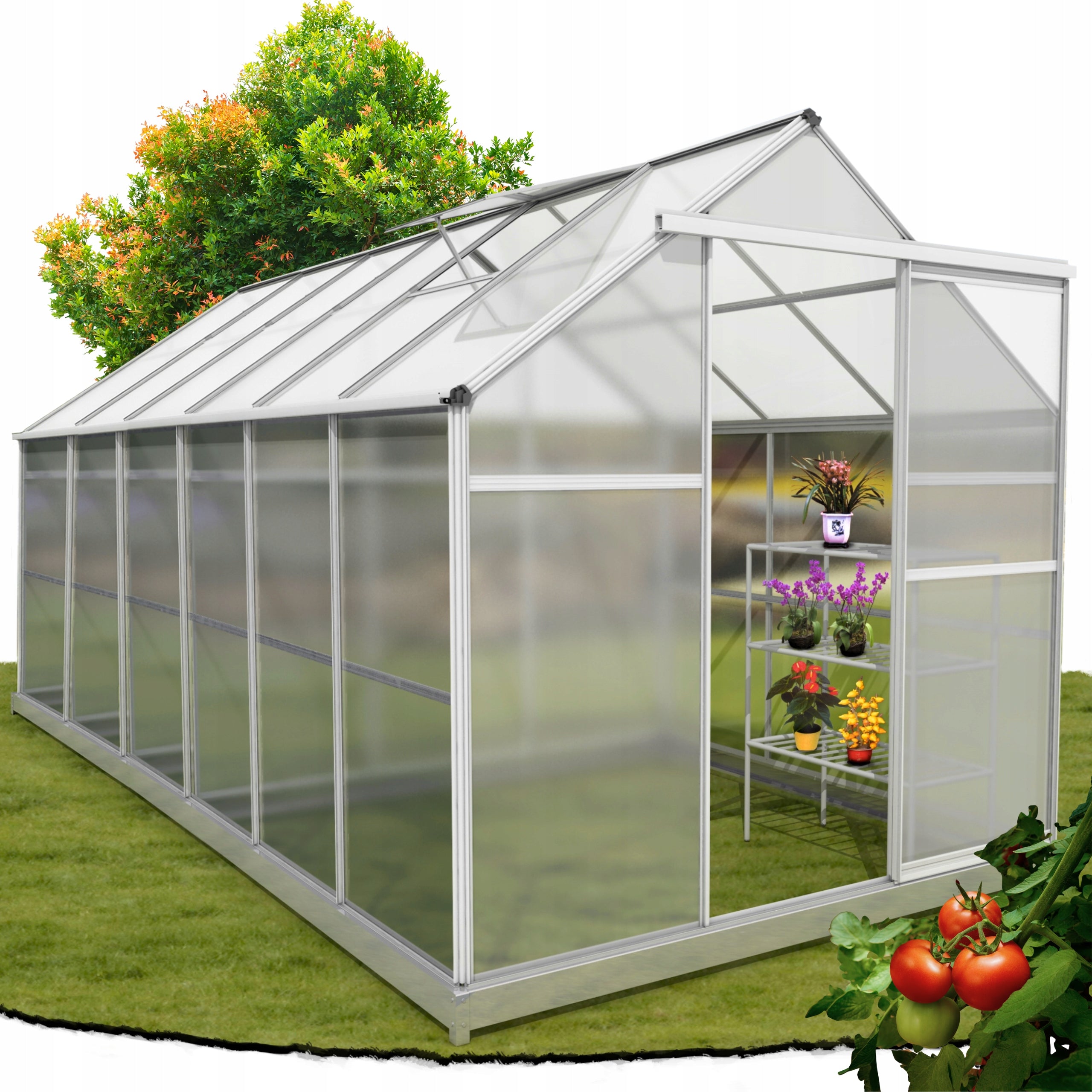 Aluminum Garden Greenhouse with Polycarbonate 190x363x191cm