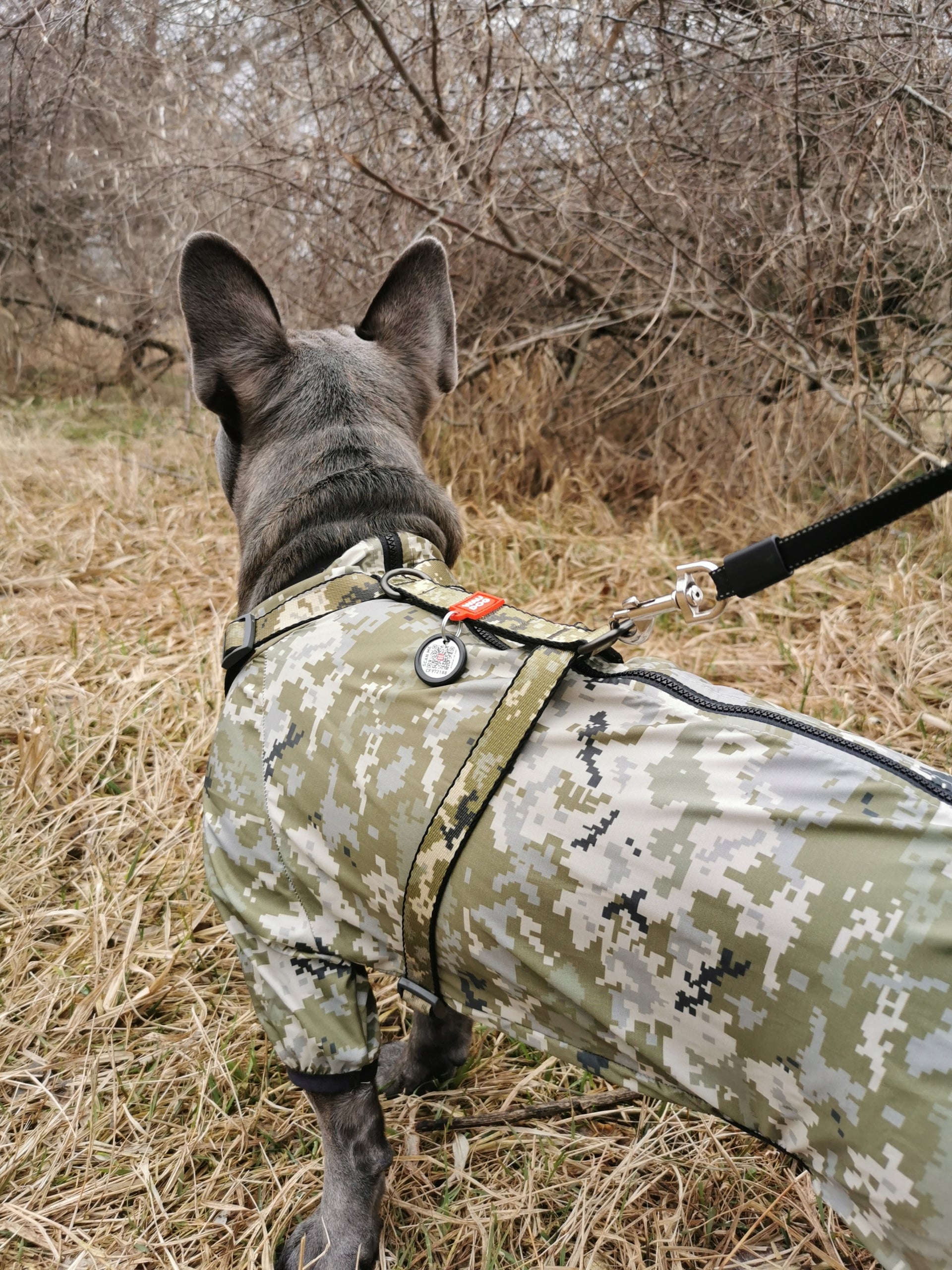 Anatomical dog harness + QR ADDRESS FREEBIE, Military drawing, r. L Color multicolor