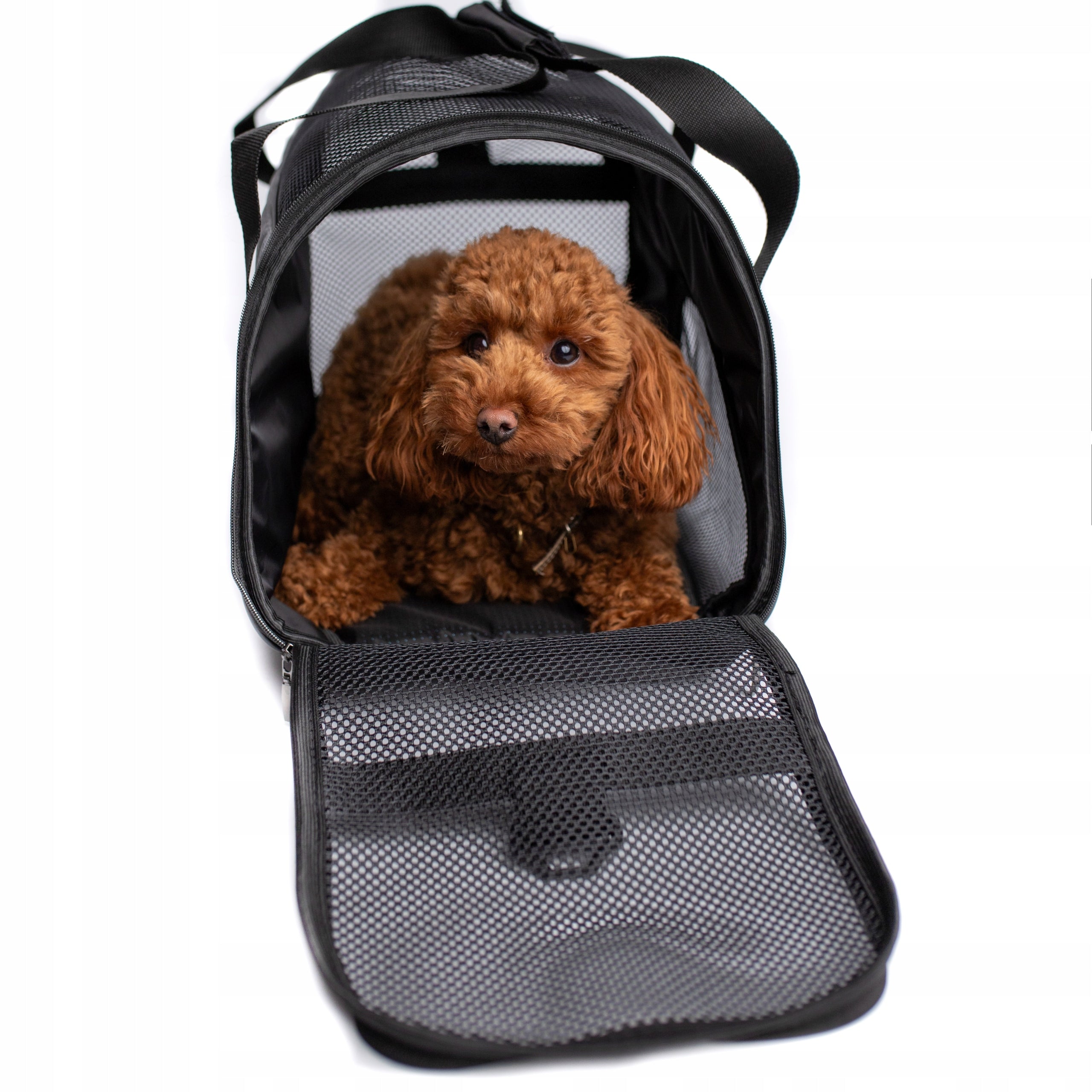 Animal transporter 52 cm x 25 cm x 34 cm Brand no brand