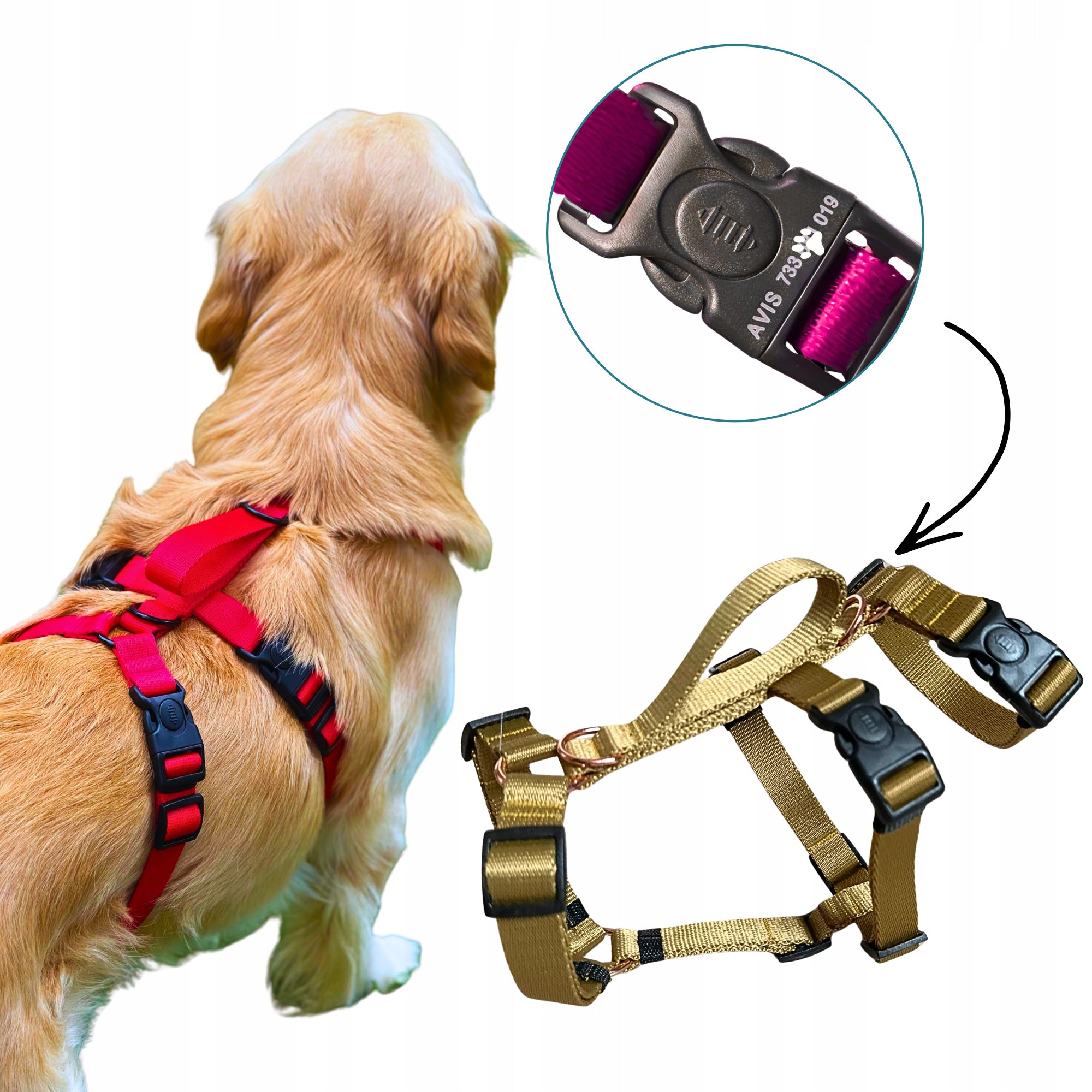 Anti-escape harness for fearful dog S/M, Handle+ADDRESS -DRAPULA