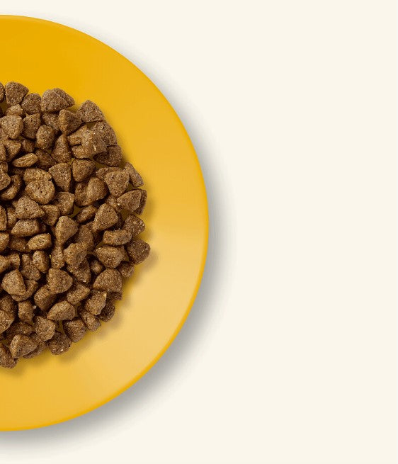 Applaws Cat Kitten Dry Cat Food Grain Free Chicken 2 kg Product weight 2 kg