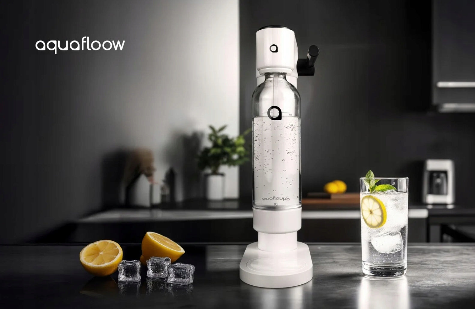AquaFloow Bubbwater Saturator for Carbonated Water CO2 Bottle 0,8L Set Manufacturer code Saturator