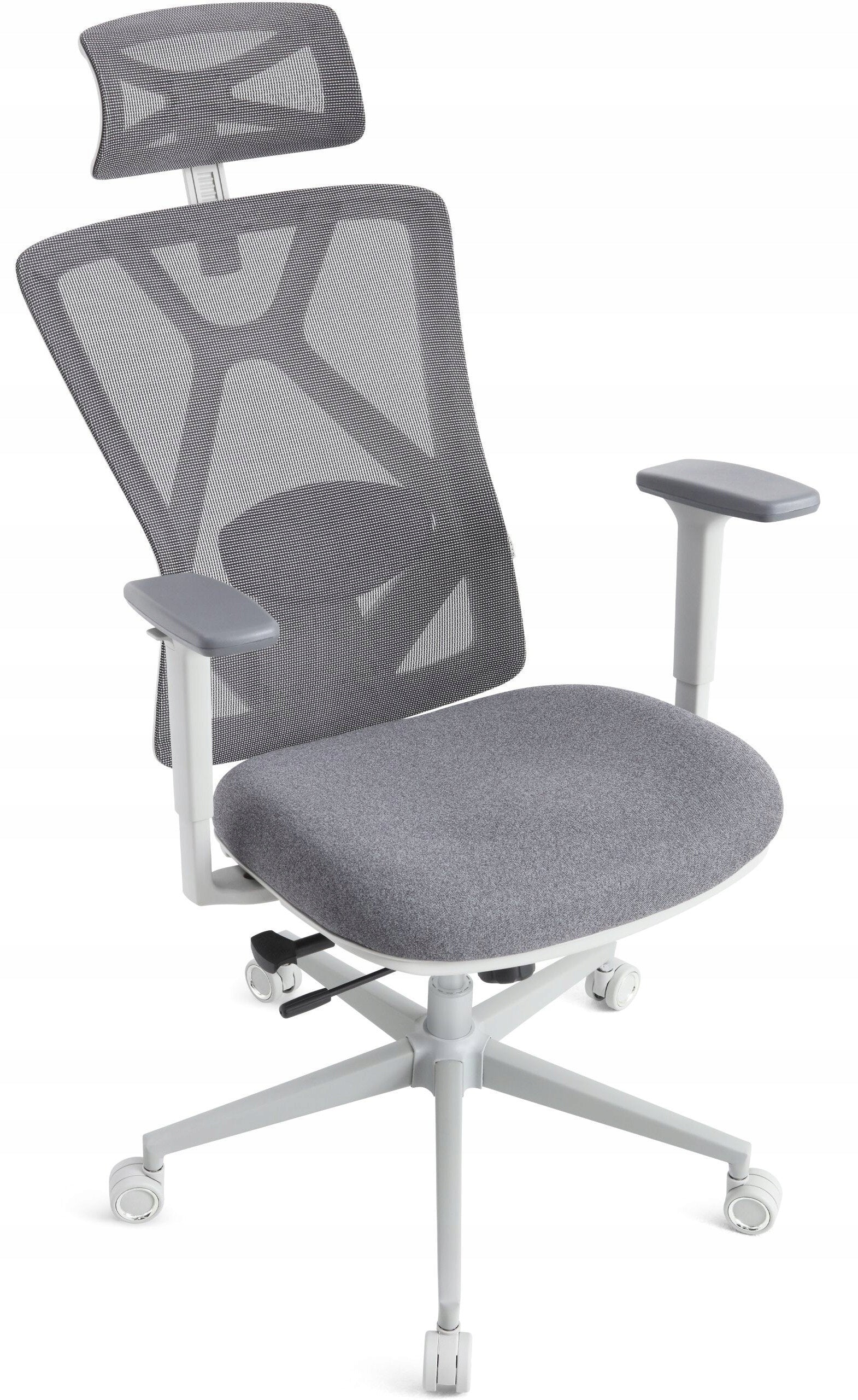 Armchair GAMVIS ErgoMaster XL Grey Brand Gamvis