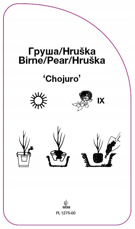 Asian pear 'Chojuro' nursery labels Manufacturer code PL 1275-000