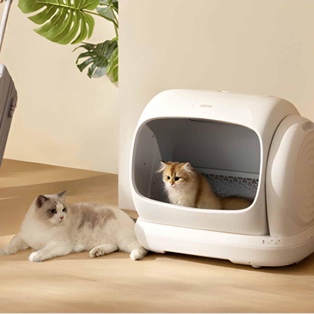 Automatic Self-Cleaning Cuvette for Cat 106L APPLICATION UBPet UB-C41 Color white