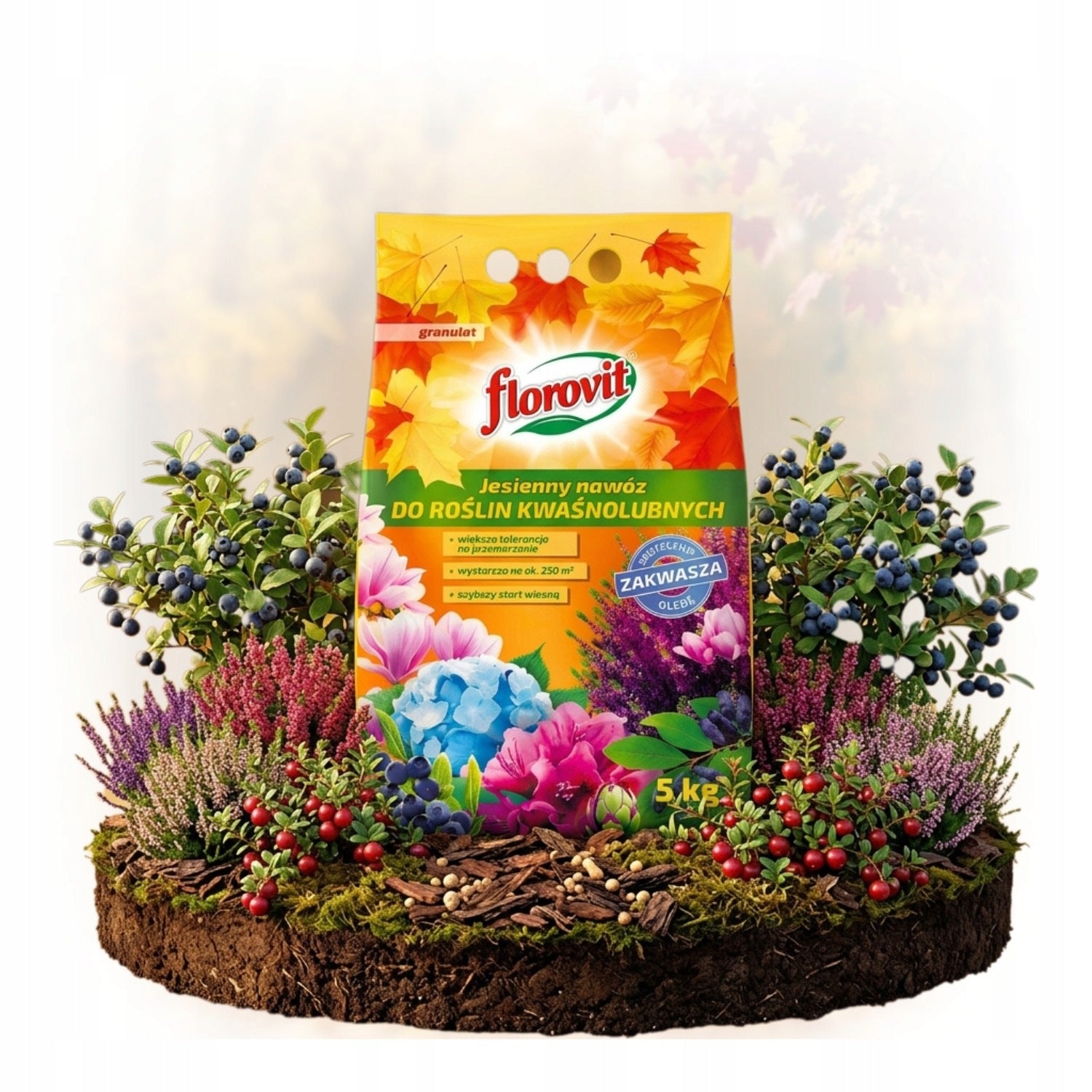 Autumn FERTILIZER for Acid-loving plants of heather blueberries FLOROVIT 5 kg