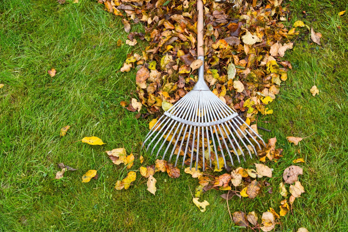 Autumn fertilizer for lawn GARDEN 2001 Siarkopol 25kg Manufacturer code nawóz do trawy 25kg