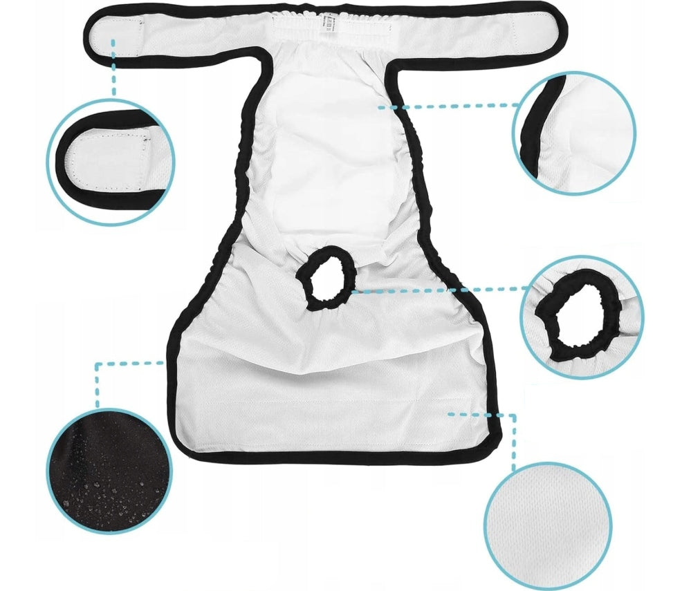 Avont 2 pieces dog diapers, reusable, highly absorbent L Brand Avont