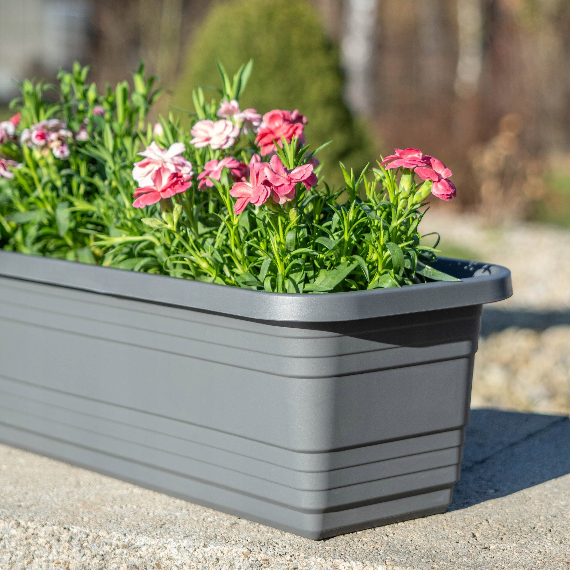 BALCONY BOX FLOWER POT 80cm ANTHRACITE FLOWER BOX KADAX Brand Kadax