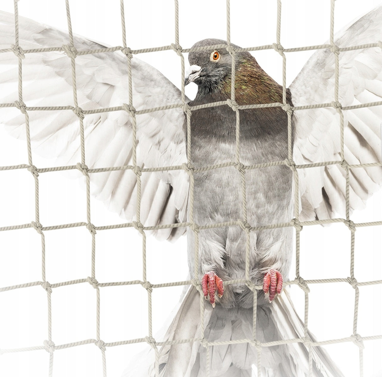 BALCONY NET 6x3m PIGEON BIRDS AGAINST BIRDS SET WITHOUT DRILLING Product weight with unit packaging 1 kg