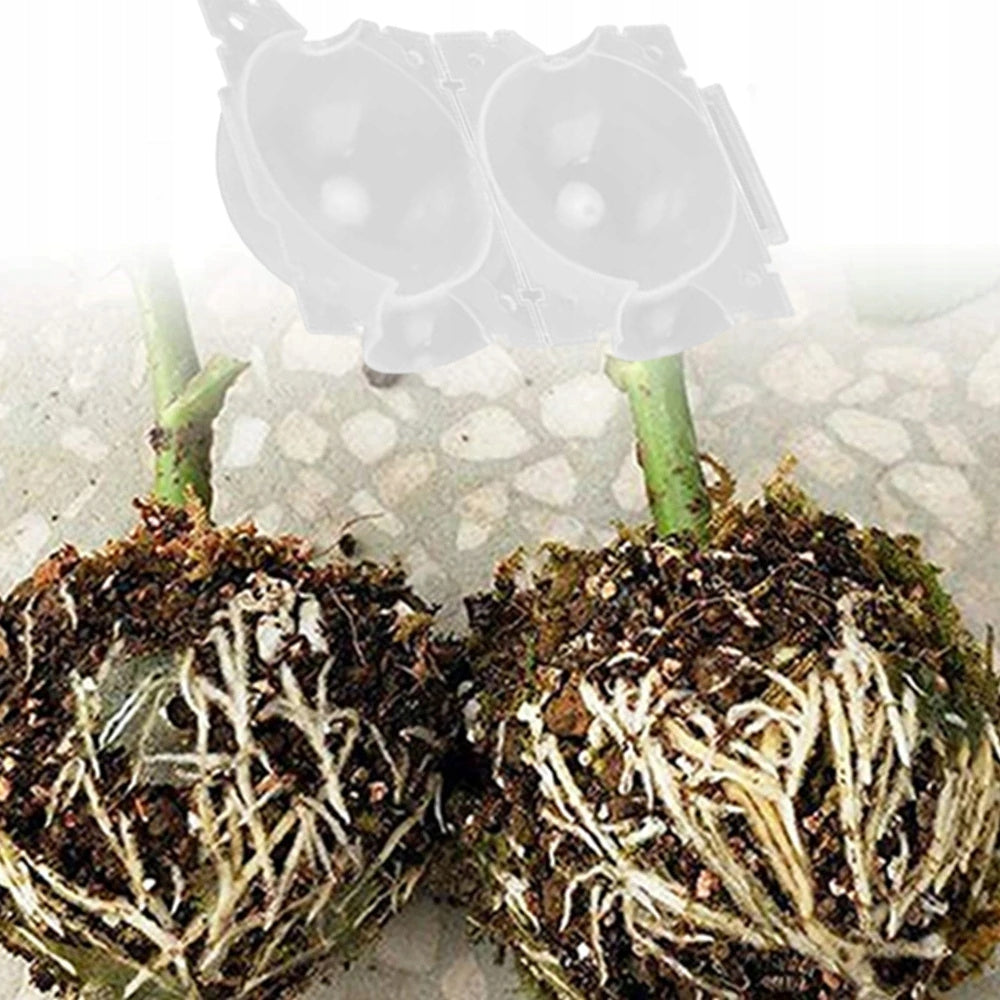 BALLS FOR ROOTING ROSES AND PROPAGATION OF SEEDINGS BALL AIR NECKS 5 pcs Product height 5.3 cm